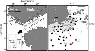 Explaining Recruitment Stochasticity at a Species’ Range Margin